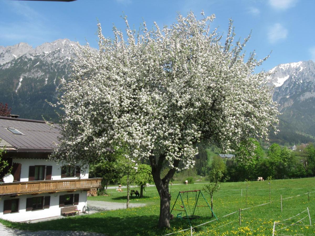 Вілла Bauernhof Neu-Endfelden, Guenter Widauer Зелль Екстер'єр фото
